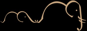 This image has an empty alt attribute; its file name is terrylogo.jpg