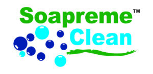 This image has an empty alt attribute; its file name is logo-TM-2-300x146.jpg