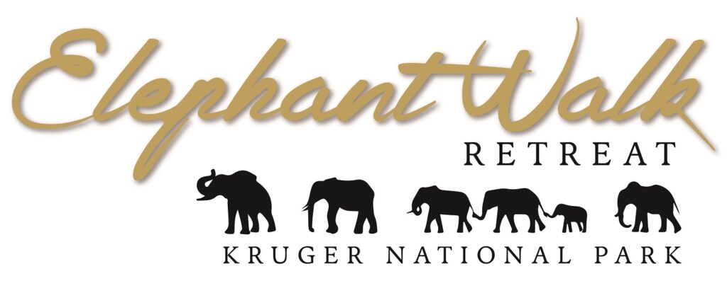 This image has an empty alt attribute; its file name is elephantwalklogo.-1024x397.jpg