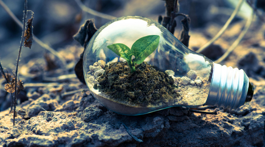 Sustainable & Responsible Tourism as a Business Strategy