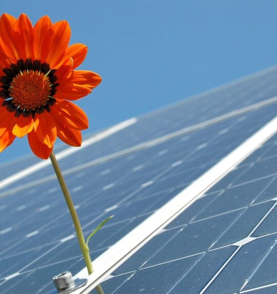 Let’s face the issue of environmental sustainability