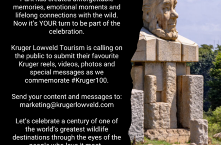 Submit your own Kruger video message